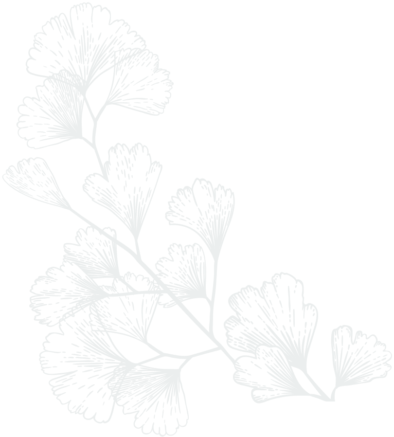 feuille
