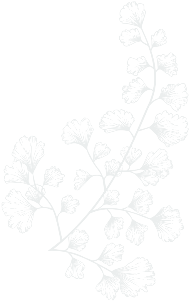 feuille