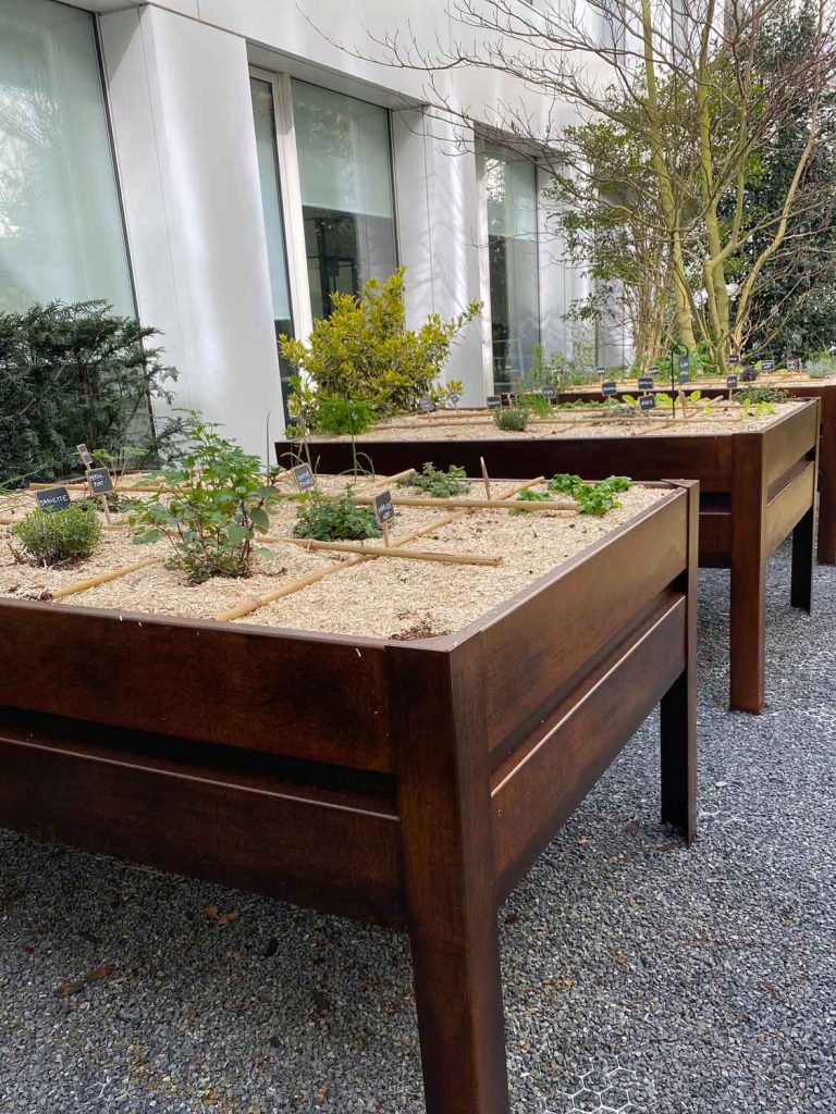 création potager Rennes Pacé