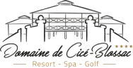 logo domaine de cicé blossac