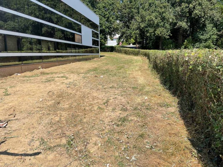 pose gazon placage Rennes